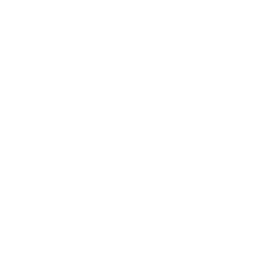 feature-item-1